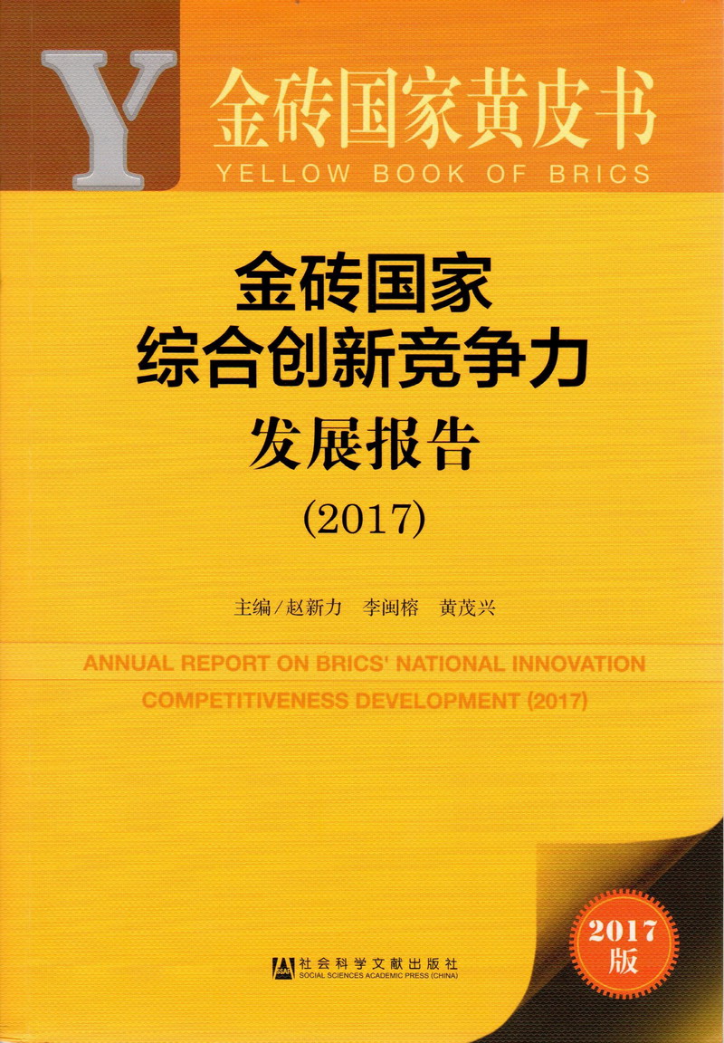 男人操逼的黄片儿操逼的黄片儿操逼的黄片儿金砖国家综合创新竞争力发展报告（2017）